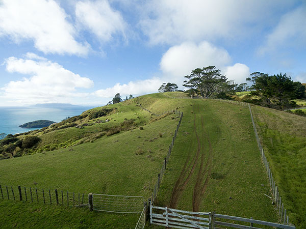 Pakiri Hill paper-Road vista