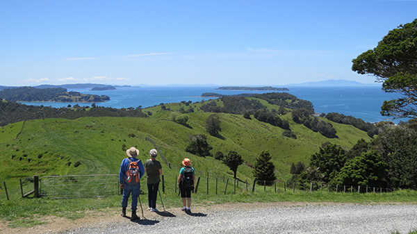 Te Muri ridge walkers admire view