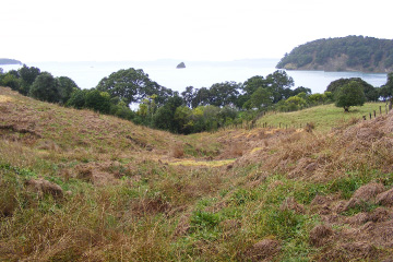 Hillside behind the Sullivans Bay campground