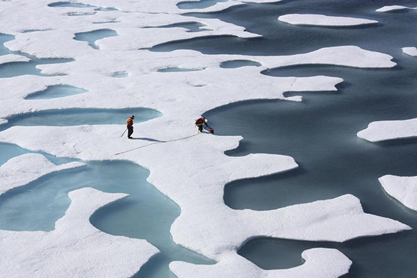 Arctic sea-ice melt pools