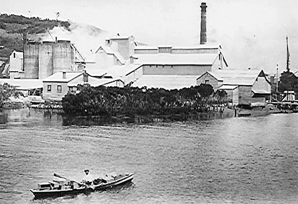 Wilson cement works; Mahurangi punt