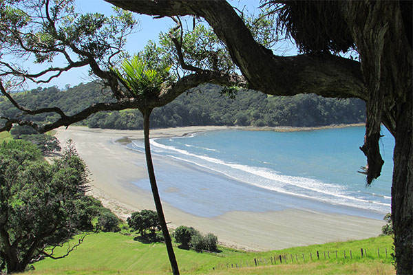 Te Muri Beach, Chris Eady