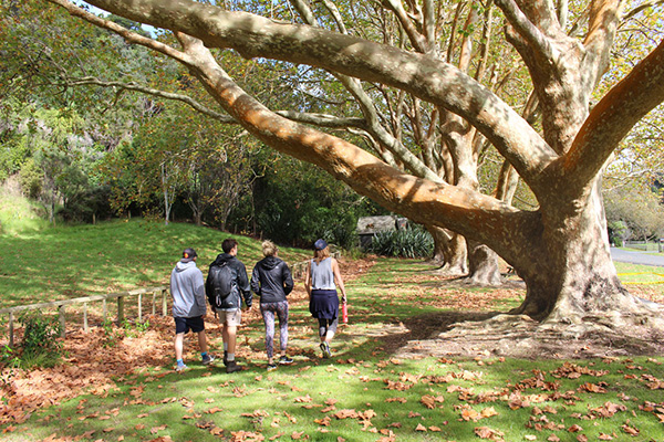 Former driveway to Couldrey House