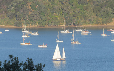 On the coastal trail to the Mahurangi Regatta