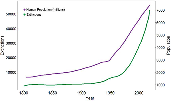 Species extinction rate compared with human population