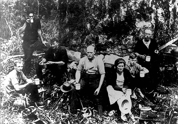 Bert Collins kauri-logging gang tea break