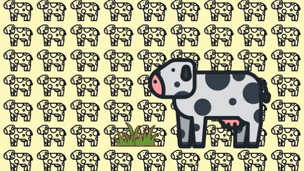 Go to Stuff: Gertie’s Gas – How a Single Cow Contributes to Climate Change Gertie’s Gas graphic