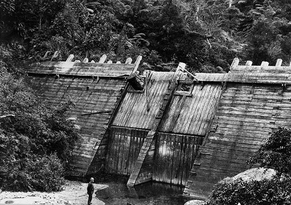 Kopowai River kauri-driving dam