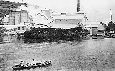 Extraordinary Mahurangi rowers