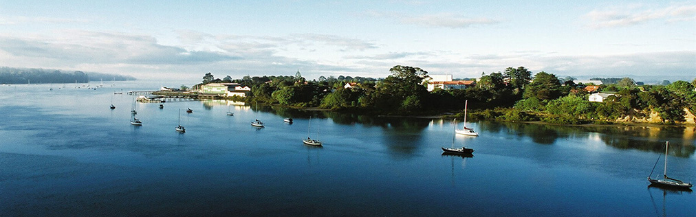 Hobsonville Point vista