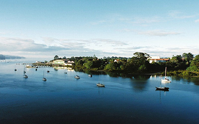 Hobsonville-pointing satellite growth centre