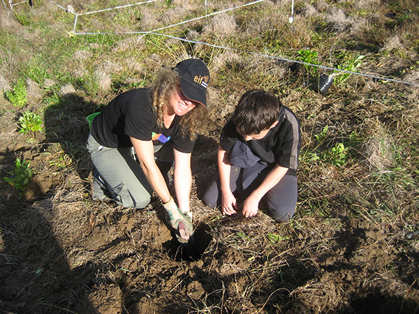 Planting day at Sullivans Bay – Think national, act local