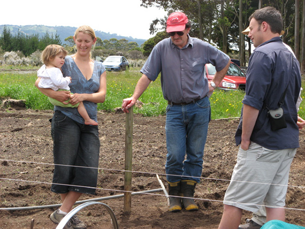 Cultivation by power harrow