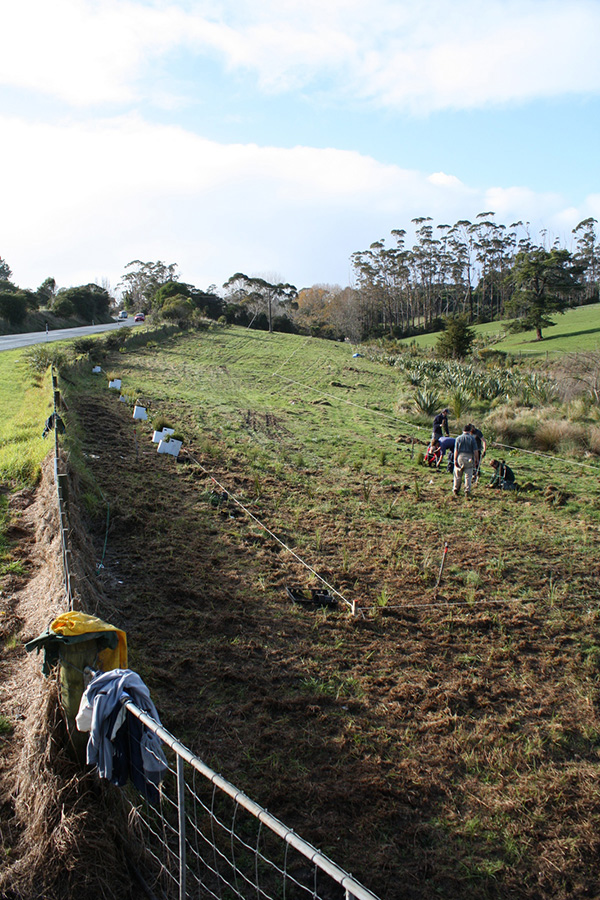 Sandspit Road open-ground trial set out