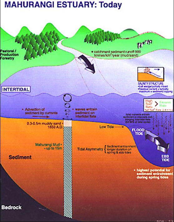 Swale diagram