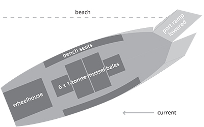 Interim river-mouth scow and mussel restoration research