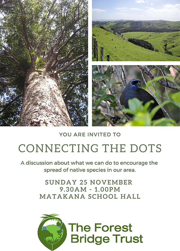 Connect the Dots flyer