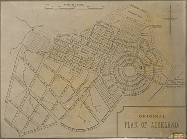 Felton Mathew ‘cobweb’ plan for Auckland