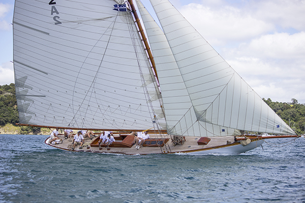 Trillian Trust Classic Yacht Regatta flier