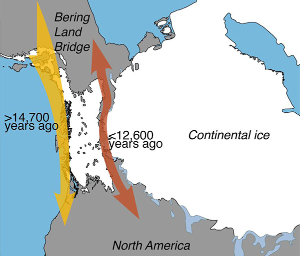 Migration route to Americas