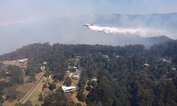 Binna Burra, Queensland, September 2019