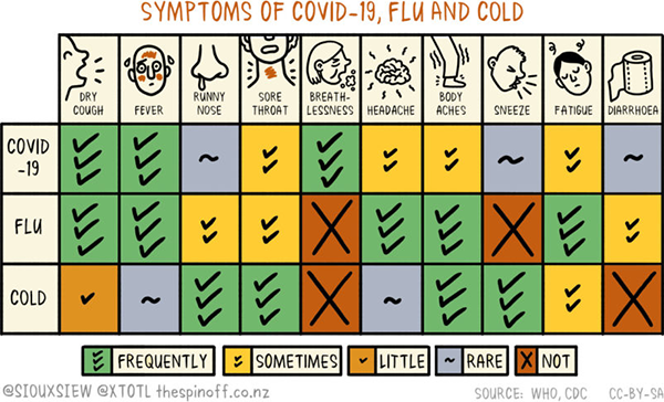 Covid-19, flu, cold symptoms chart, The Spinoff