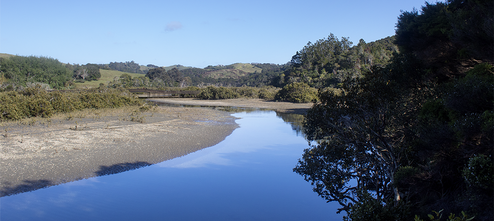 Te Muri crossing, from 70 metres farther upstream from farm road crossing