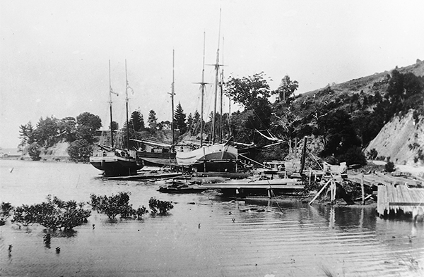Go to the Jane Gifford Society: The Jane Gifford – History David Darroch yard, Whangateau Harbour