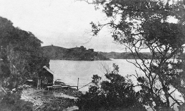 John Darrach and Sons shipyard, Te Kapa