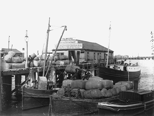 Jade River: A History of the Mahurangi – Deadly Rivals Coastal Steam Ship Company tee, Queen street Wharf