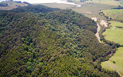 Mahurangi reserves beyond the regional parkland