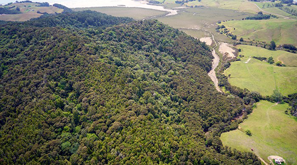 McElroy Scenic Reserve, aerial, Andrew Macdonald, Biospatial