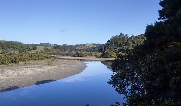 Te Muri Crossing, visualisation from downstream