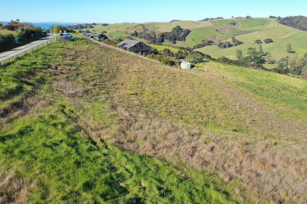 Harakeke zero-maintenance trial, Te Muri Ridge, 27 May 2021