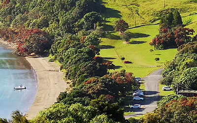 Coastal path and the greater Mahurangi regional park