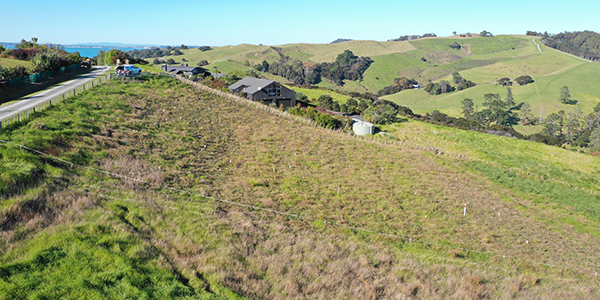 Te Muri Ridge harakeke establishment trial