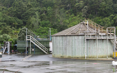 Forty-one years on and Mahurangi wastewater options revisited