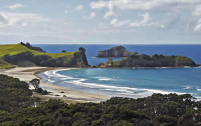 Wrong for Mahurangi but right for Aotea – Great Barrier