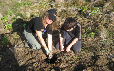 Planting day at Sullivans Bay – Think national, act local