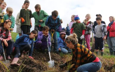 Mile-long Mahurangi Farm-Forestry Trail milestone