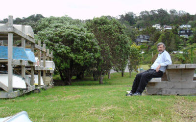 Ōpahi four for the chop, or the battle for Mont’s trees