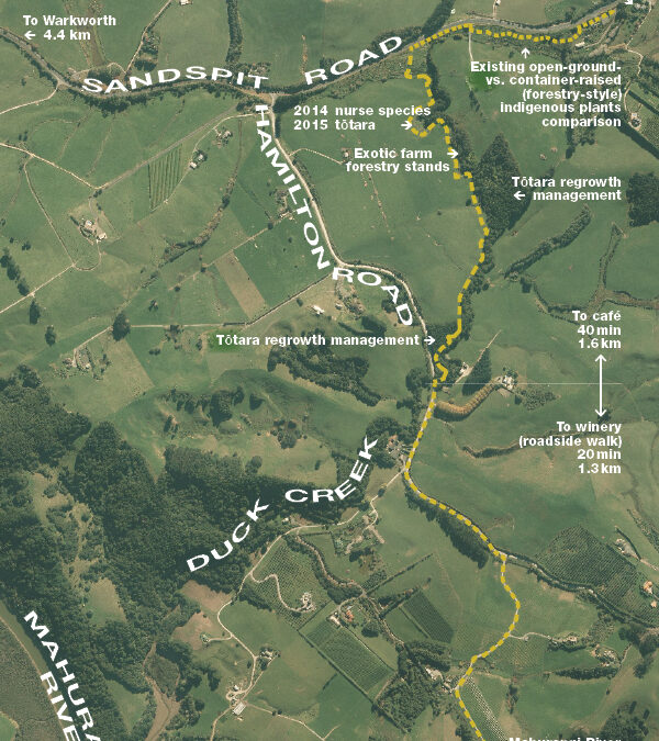 Climate action on the farm-forestry trail