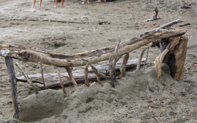 Sand sculptors’ future too important to chance